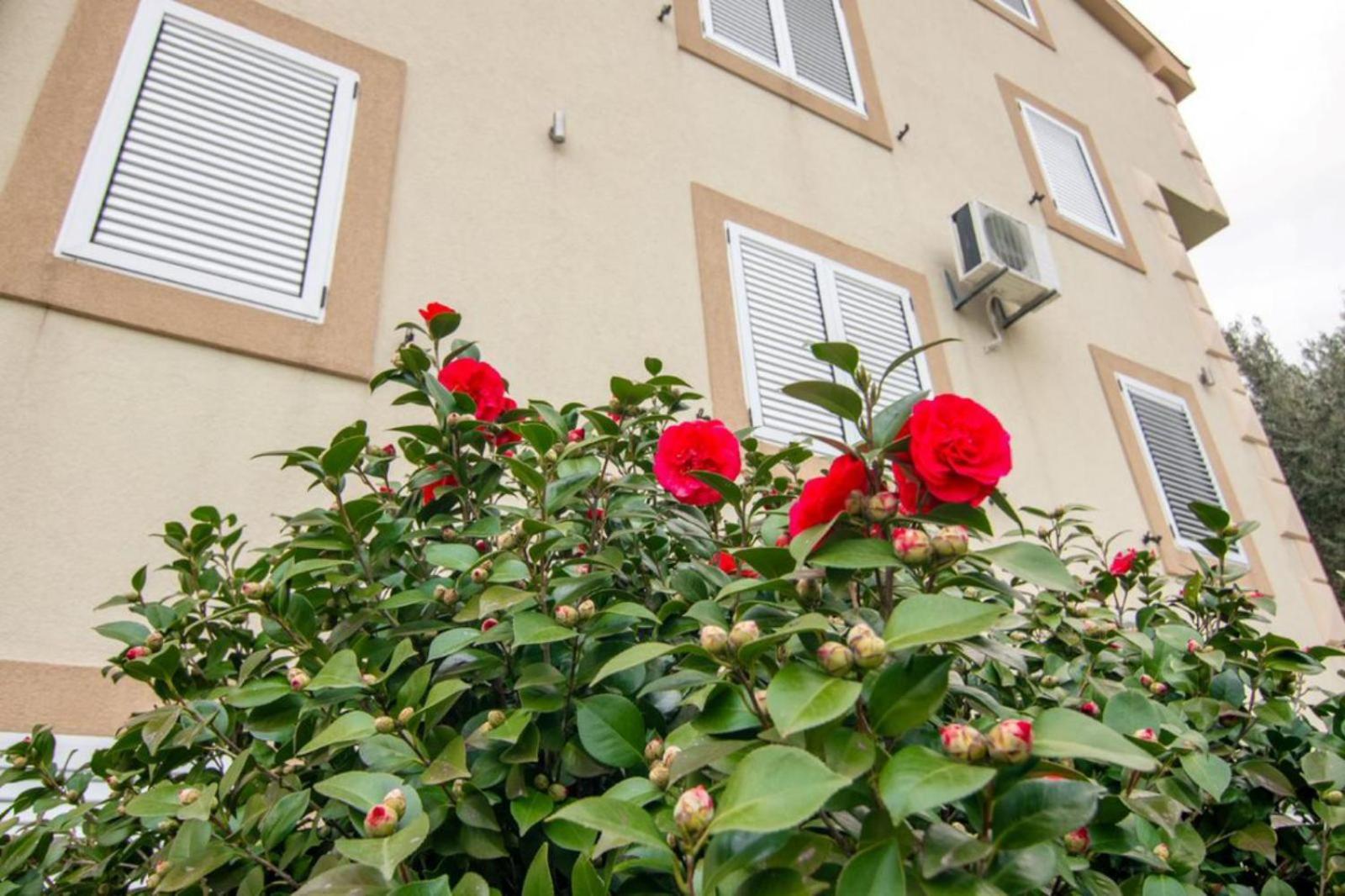 Apartments Savic Херцег-Нови Экстерьер фото