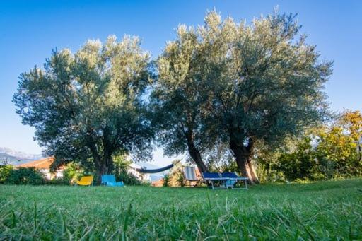 Apartments Savic Херцег-Нови Экстерьер фото